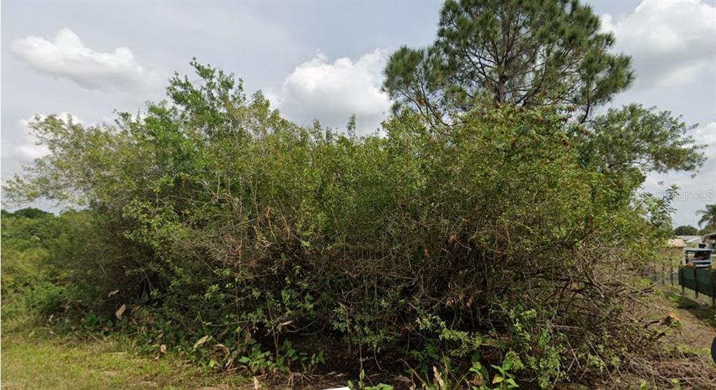 A dense thicket of overgrown shrubs and trees sits on a grassy lot — 3078 NW 39TH AVENUE, OKEECHOBEE, FL