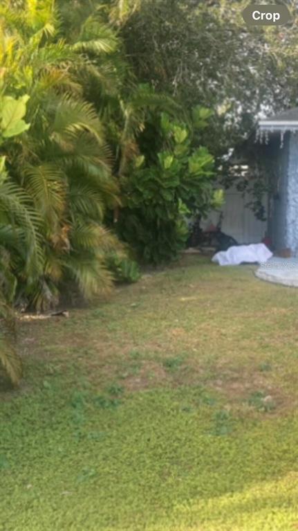A grassy backyard features a large palm tree, a leafy shrub, and a white-covered object — 303 COCOA COURT, KISSIMMEE, FL