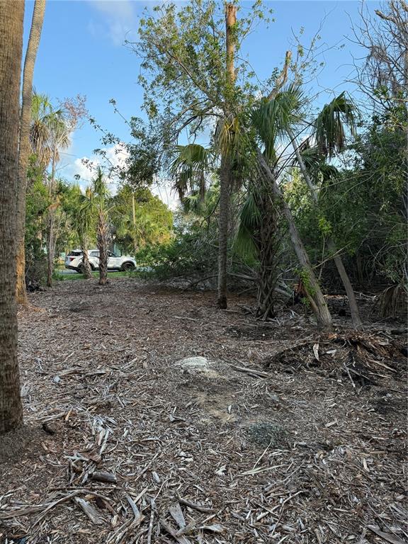 1471 S ESTUARY DRIVE, CRYSTAL RIVER, FL — photo 3 of 10