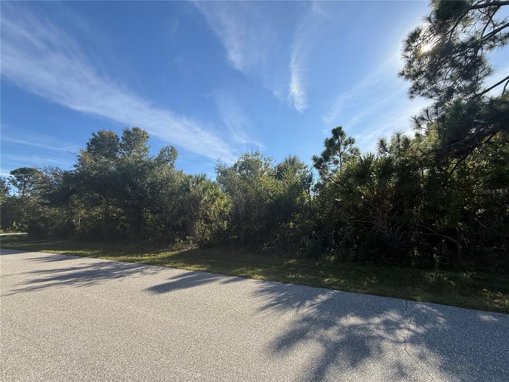 A paved road runs alongside a wooded lot with dense trees and shrubs — 7358 PINEDALE DRIVE, PORT CHARLOTTE, FL