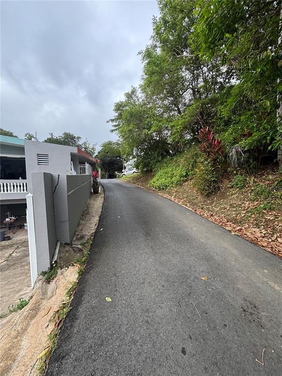 A paved driveway leads uphill past a gray concrete wall and a hillside with trees — RD 842 KM 4.6 INT, SAN JUAN, PR