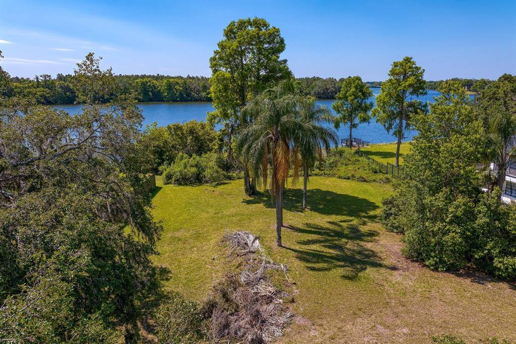 An aerial view shows a grassy backyard with several trees leading to a lake — 4607 E RIVER HILLS DRIVE, TAMPA, FL