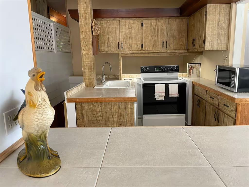 1064 BROADWAY, DUNEDIN, FL — photo 5 of 21