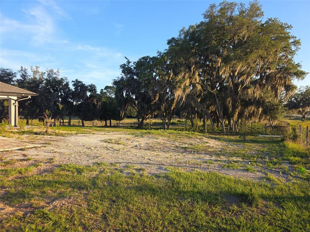 A large, grassy yard with a gravel area and mature trees with Spanish moss — 3620 COUNTY ROAD 64 E, AVON PARK, FL