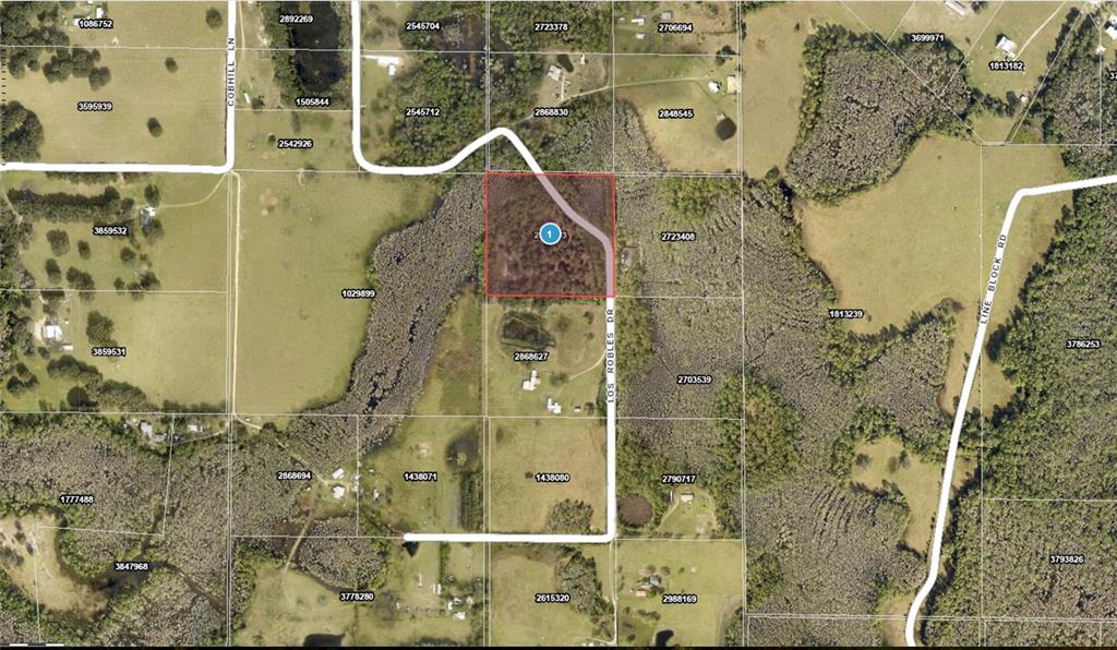 This is an aerial map showing a rectangular parcel of land highlighted in red — LOS ROBLES DRIVE, GROVELAND, FL