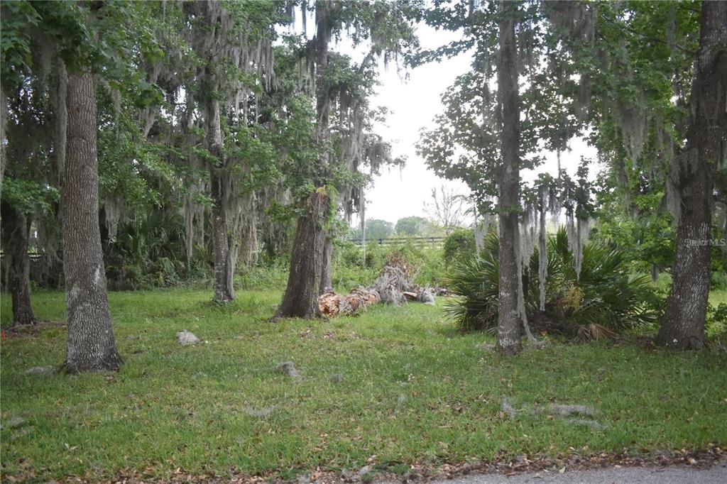 LOT 52 BLK C LEXINGTON- CIRCLE