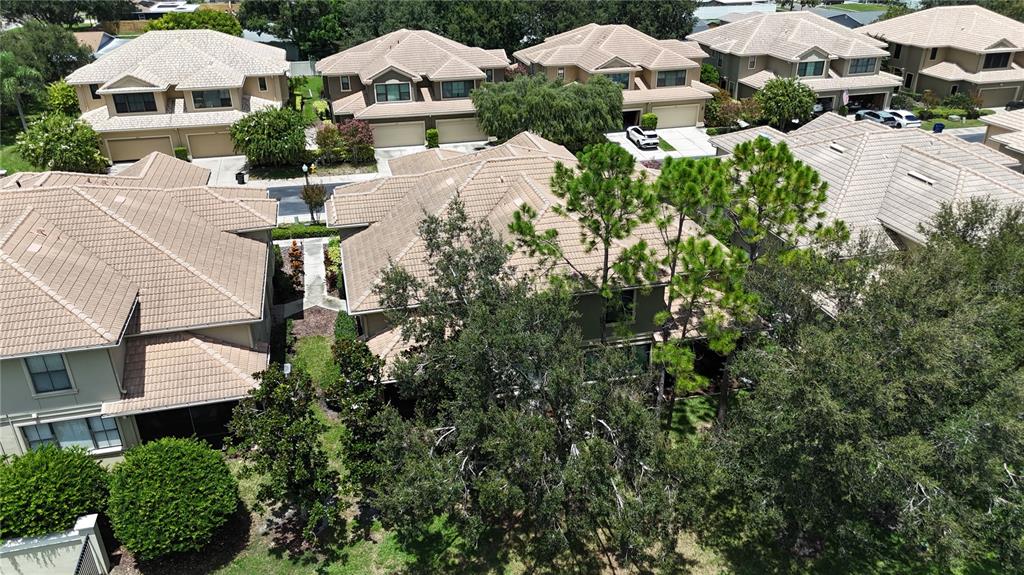 An aerial view shows multiple suburban townhomes with tan tile roofs and surrounding green trees — 8240 ACADIAN LANE, SEMINOLE, FL