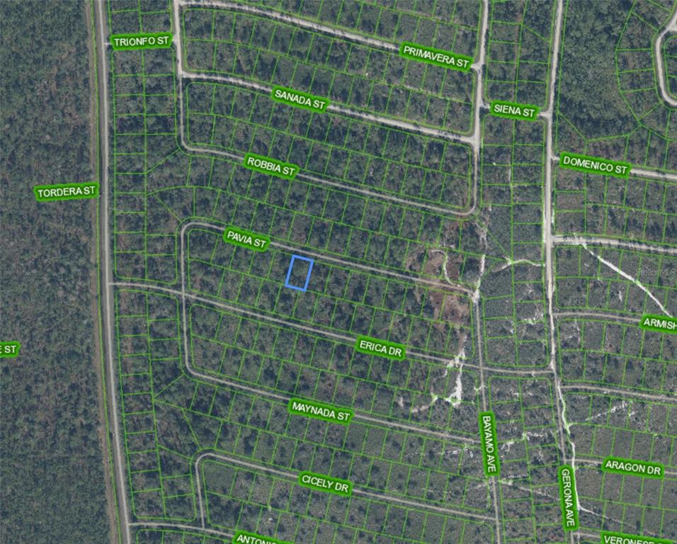 This is an aerial map showing a highlighted vacant lot located between Pavia Street and Erica Drive — 8655 PAVIA STREET, SEBRING, FL