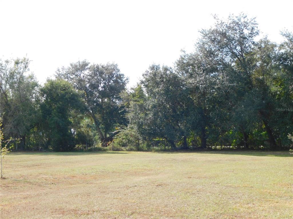 A wide, grassy field is bordered by a dense line of mature trees — 2460 NW GARVIN AVENUE, ARCADIA, FL