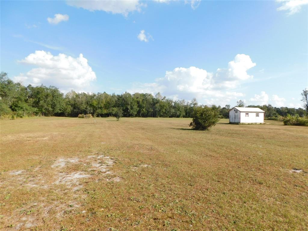 A large, grassy, open field features a small white shed and a distant tree line — 2460 NW GARVIN AVENUE, ARCADIA, FL