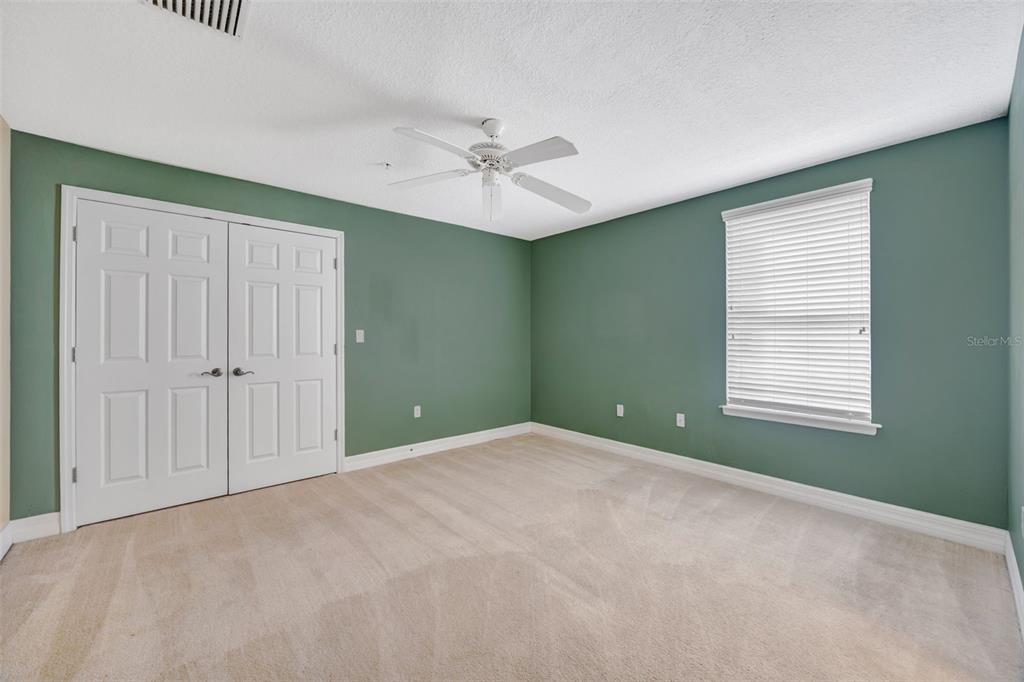 An empty bedroom features green walls, beige carpeting, a ceiling fan, and white closet doors — 4526 BAY SPRING COURT, TAMPA, FL