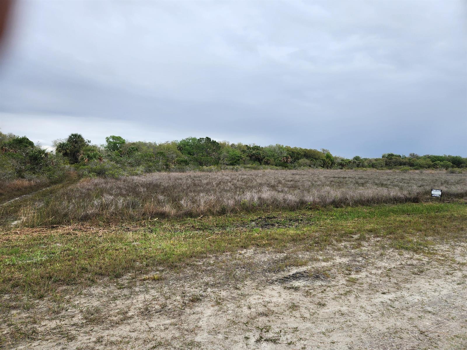 A vacant, grassy lot with a "For Sale" sign sits before a line of trees — 15679 NW 296th Street, Okeechobee FL 34972, OKEECHOBEE, FL