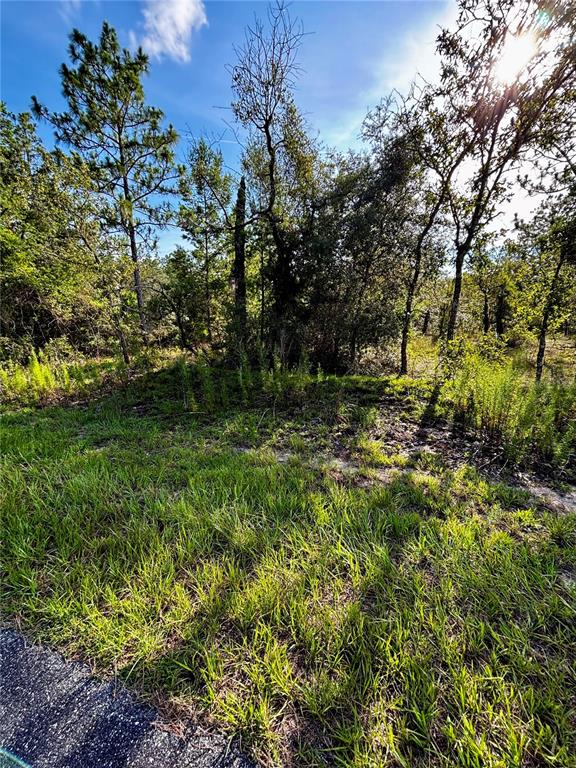 A grassy lot with trees under a bright, sunny sky — Lot 24 SE 136 TERRACE, DUNNELLON, FL