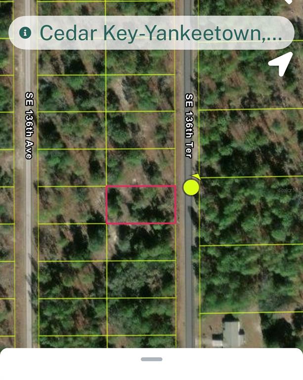 This aerial map shows a rectangular vacant lot highlighted in pink along a paved road — Lot 24 SE 136 TERRACE, DUNNELLON, FL