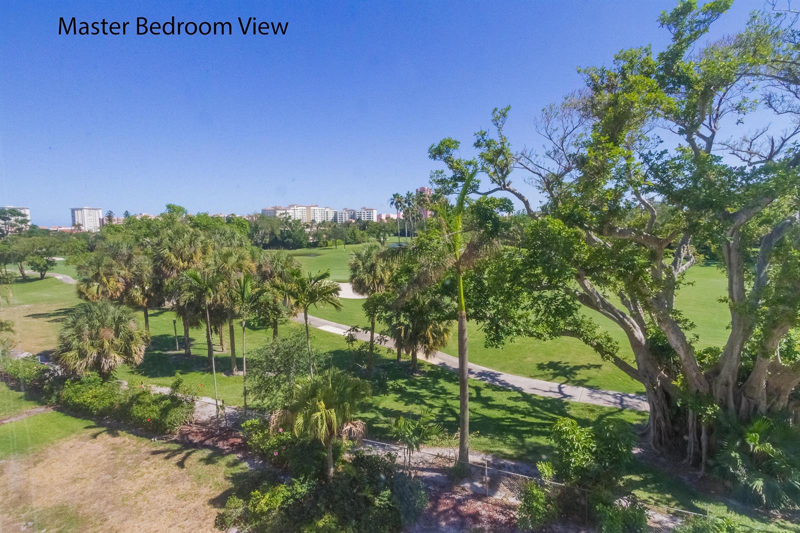 An elevated view of a golf course with palm trees and a large banyan tree — 300 E Royal Palm Road # 0420, Boca Raton FL 33432, BOCA RATON, FL
