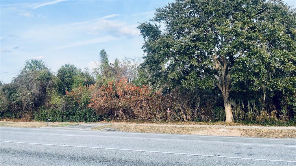 A vacant, tree-covered lot sits along a paved road with a small sign visible — 5919 S RIDGEWOOD AVENUE, PORT ORANGE, FL