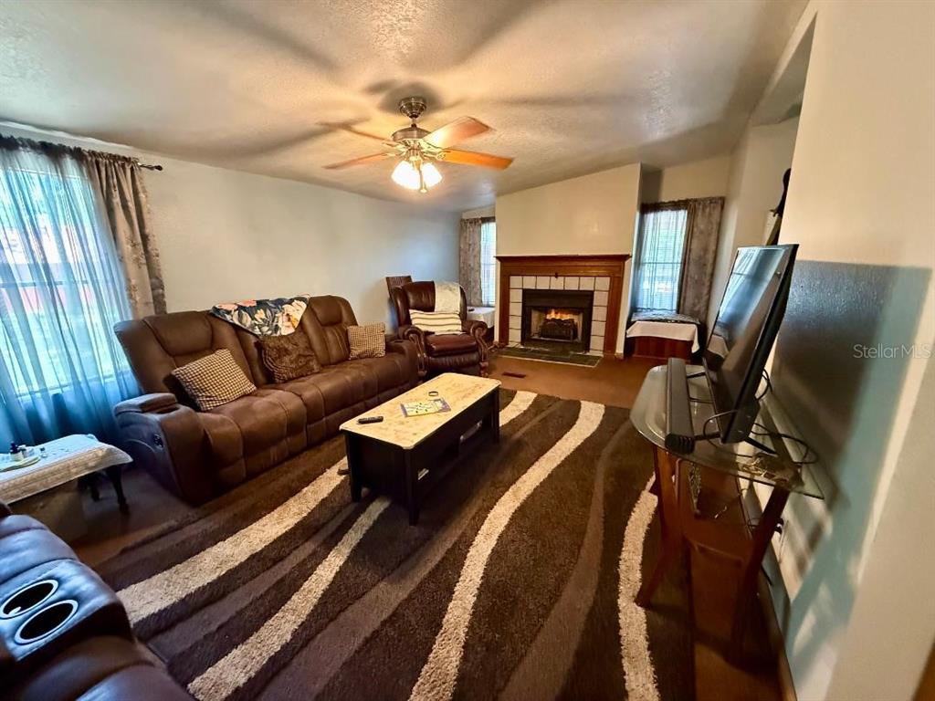 A living room features a brown leather sofa, a fireplace, and a patterned area rug — 11340 SW 28TH WAY, WEBSTER, FL