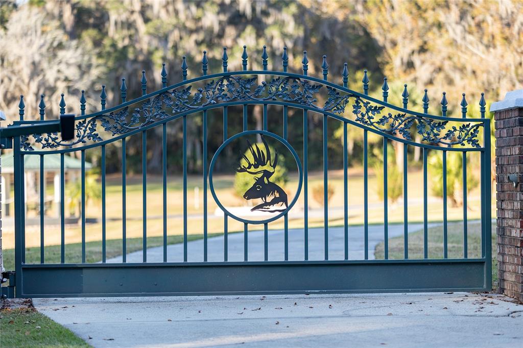 255 SW 96TH LANE, OCALA, FL — photo 5 of 30