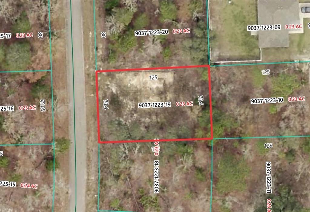 This is an aerial map showing a rectangular plot of land highlighted in red — 19 FISHER LANE TRACK, OCKLAWAHA, FL