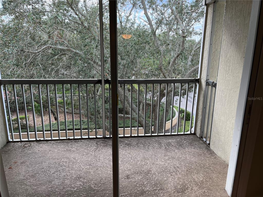 A screened-in balcony with a concrete floor overlooks trees and a paved walkway — 3190 DANTE DRIVE UNIT 308, ORLANDO, FL
