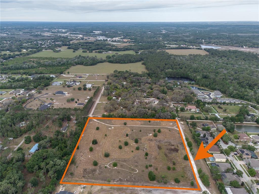 29824 WELLS ROADS, WESLEY CHAPEL, FL — photo 4 of 12