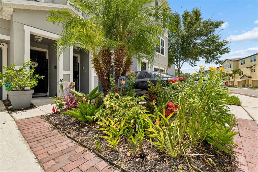 A brick walkway leads to the entrance of a townhouse with a landscaped front garden — 4755 TUSCAN LOON DRIVE, TAMPA, FL