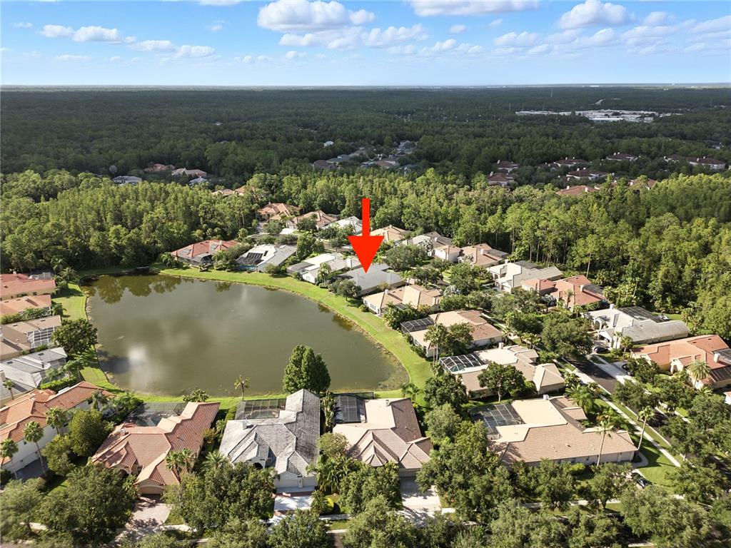 An aerial view shows a suburban neighborhood with houses surrounding a central pond — 17210 BROADOAK DRIVE, TAMPA, FL