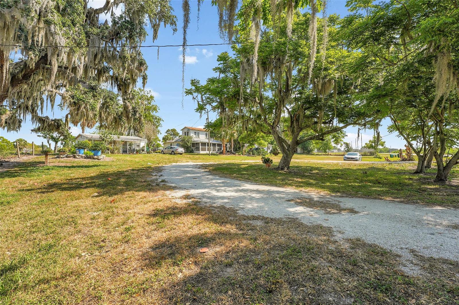 A gravel driveway leads toward two houses surrounded by large trees with hanging Spanish moss — 651 State Road 78, Okeechobee FL 34974, OKEECHOBEE, FL