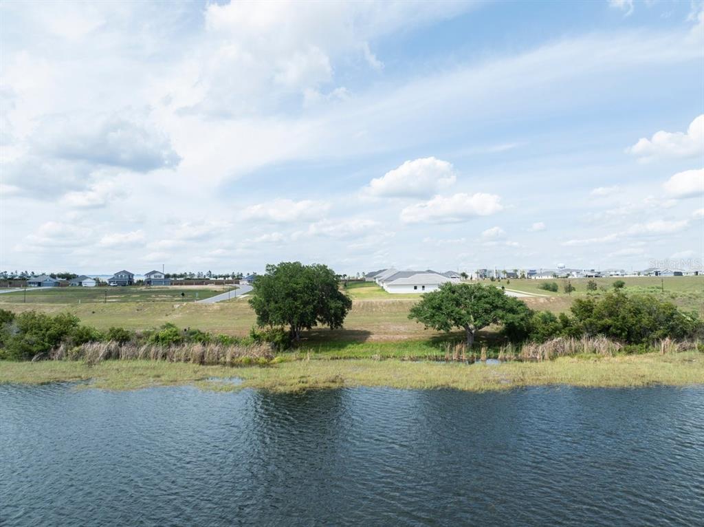 A view of a lake with grassy banks, two large trees, and houses in the distance — 4359 JULIANA LAKE DRIVE, AUBURNDALE, FL