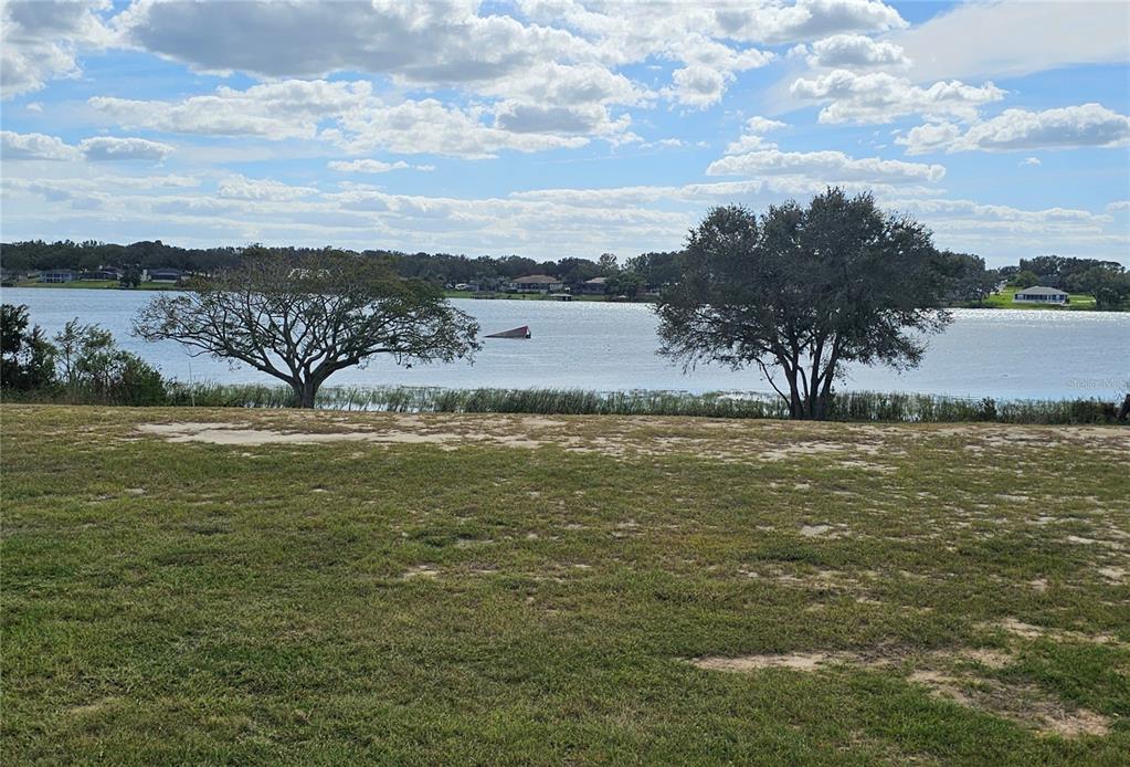 A grassy yard overlooks a lake with two large trees and a distant shoreline — 4359 JULIANA LAKE DRIVE, AUBURNDALE, FL