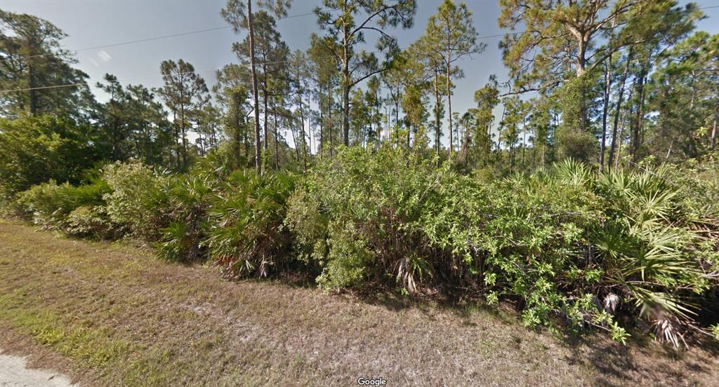 A dense thicket of green shrubs and palm trees stands in front of tall pines — 12517 ESTRELLA BOULEVARD, PUNTA GORDA, FL