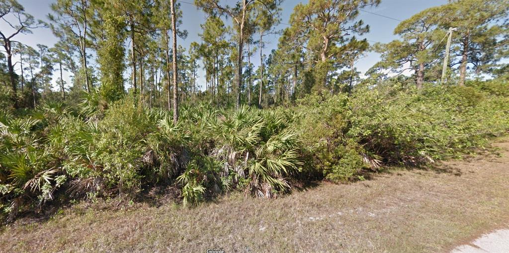 A vacant, wooded lot featuring pine trees and dense palmetto bushes along a roadside — 12517 ESTRELLA BOULEVARD, PUNTA GORDA, FL