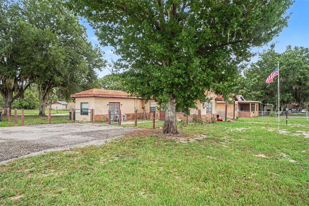 A single-story house with a tan stucco exterior sits behind a large tree and lawn — 415 LAKE JUNE ROAD, LAKE PLACID, FL