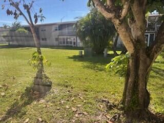 A grassy lawn sits in front of a multi-story apartment building with a large tree — 7300 NW 4th Place # 105, Margate FL 33063, MARGATE, FL