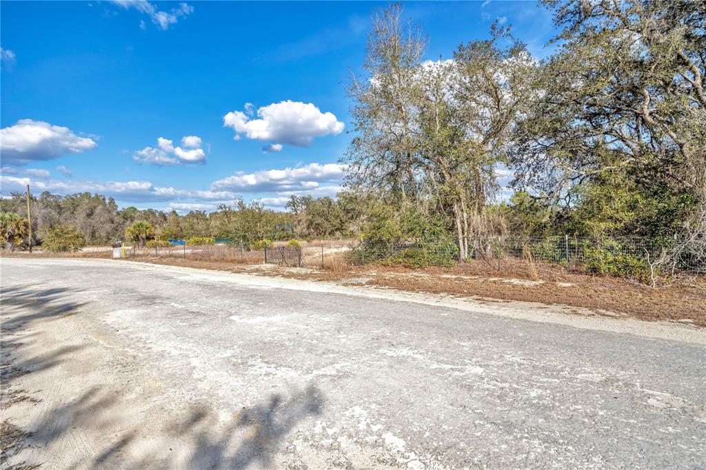 GOODSTONE DRIVE, WEBSTER, FL — photo 3 of 20