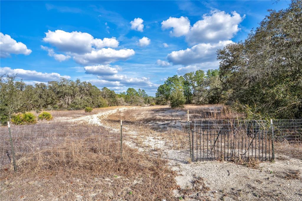 GOODSTONE DRIVE, WEBSTER, FL — photo 4 of 20