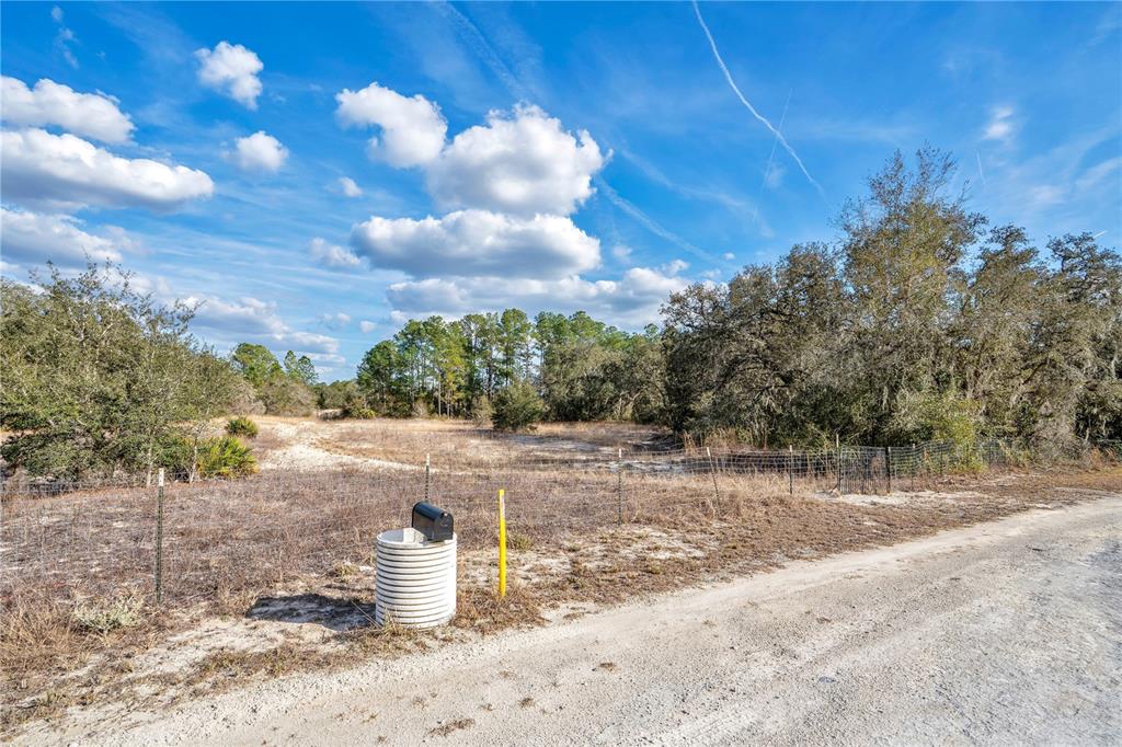 GOODSTONE DRIVE, WEBSTER, FL — photo 5 of 20