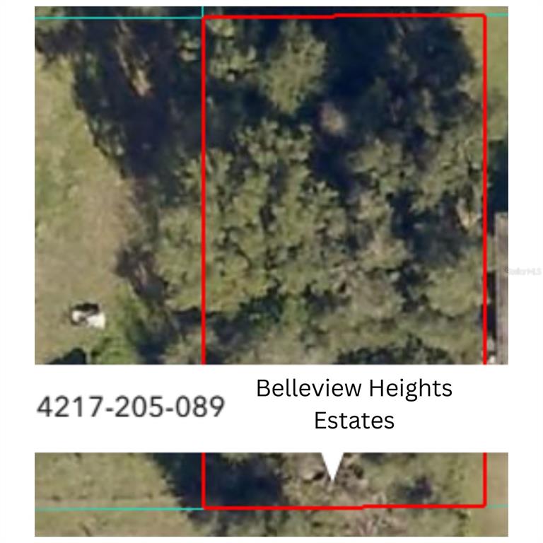 An aerial view shows a wooded, rectangular plot of land outlined in red — SE 141ST PLACE, SUMMERFIELD, FL