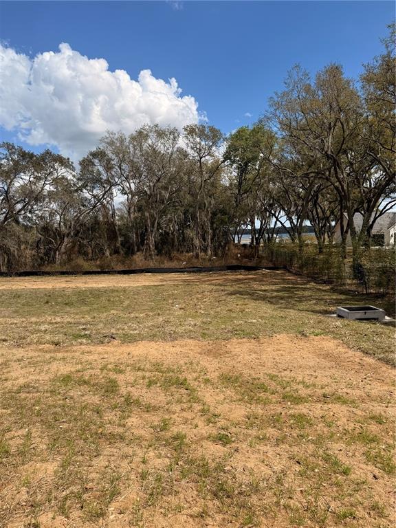 3802 MARIGOLD BELLE CIRCLE, CLERMONT, FL — photo 2 of 9