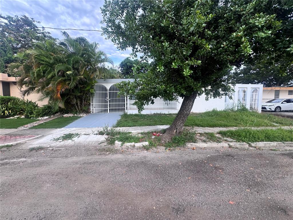 Calle 14 JARDINES DE FAGOT
