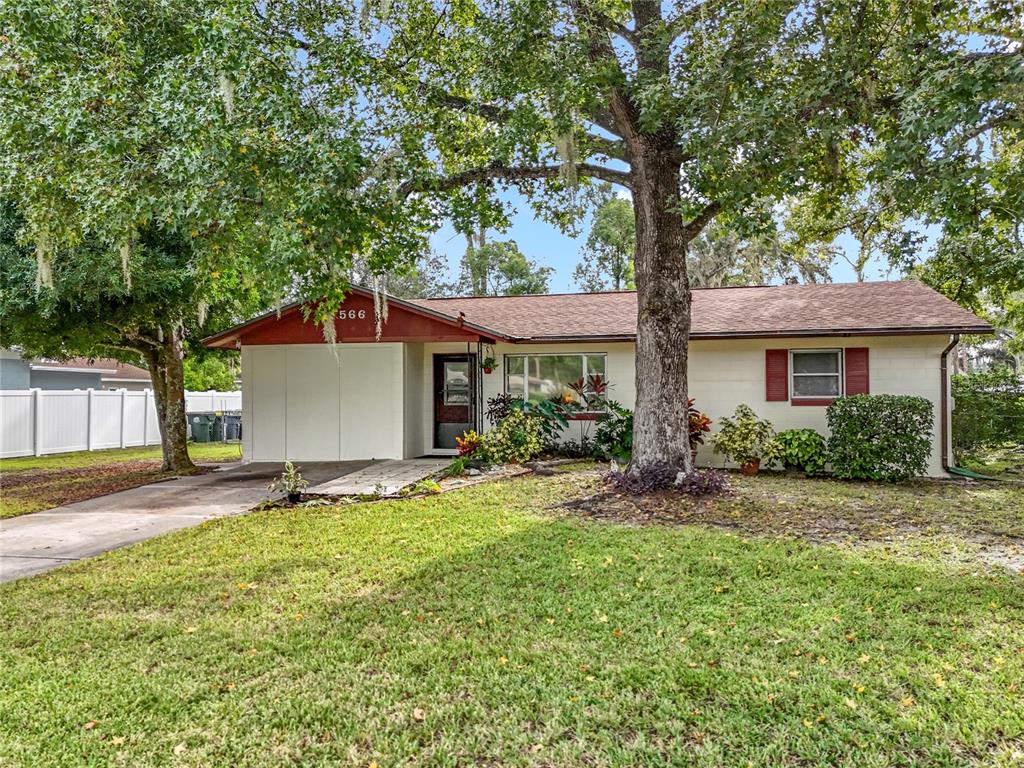 566 WISTERIA AVENUE
