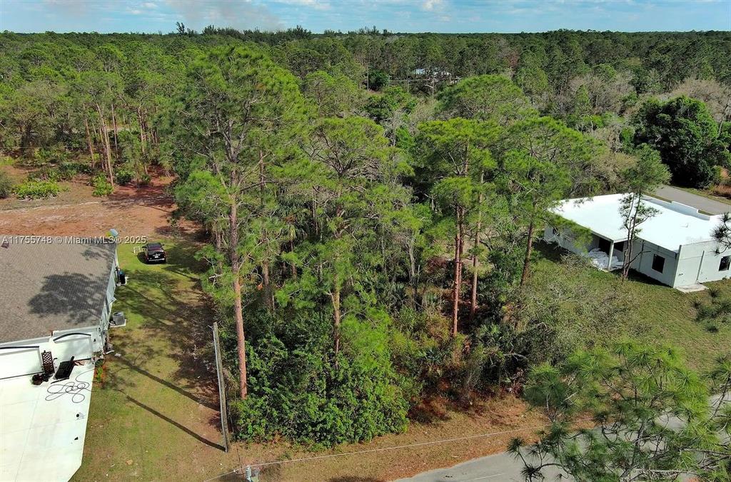An aerial view shows a wooded lot situated between two residential buildings — 1702 GREENWOOD AVENUE, LEHIGH ACRES, FL