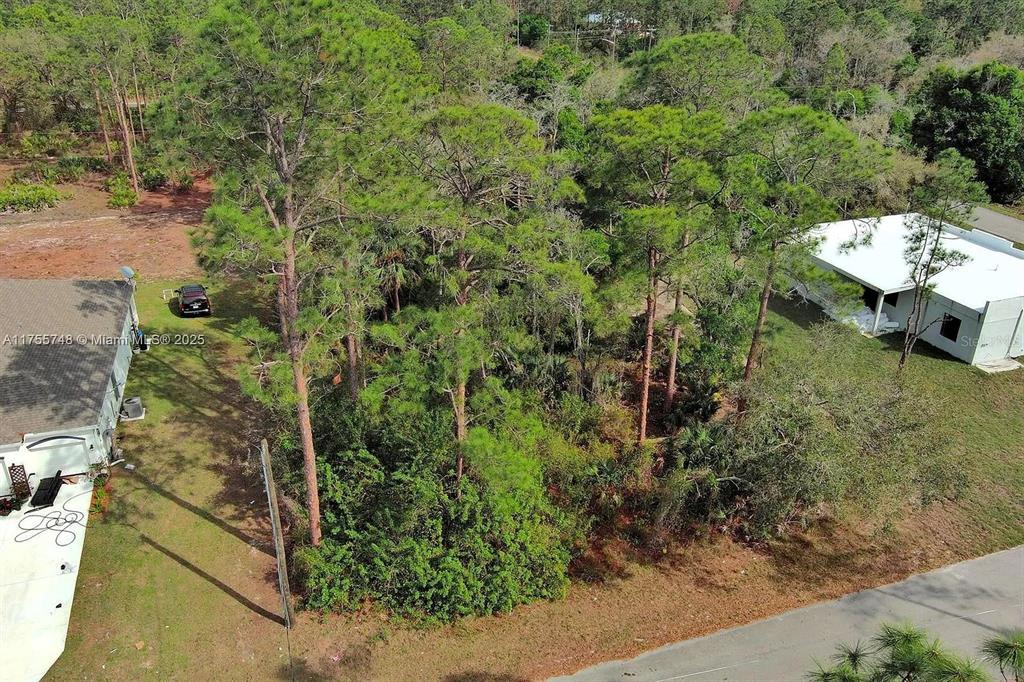 An aerial view shows a wooded lot situated between two residential houses — 1702 GREENWOOD AVENUE, LEHIGH ACRES, FL