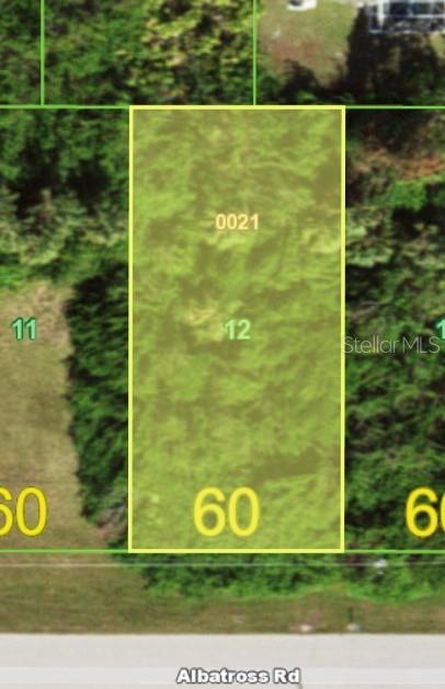 This is a map showing a rectangular plot of land highlighted in yellow along a road — 384 ALBATROSS ROAD, ROTONDA WEST, FL