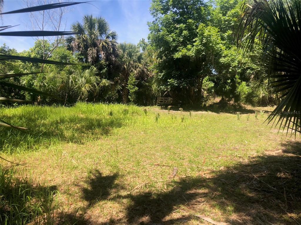 A grassy, open lot is surrounded by dense trees and palm foliage under a blue sky — 241 NOVA DRIVE, SANFORD, FL