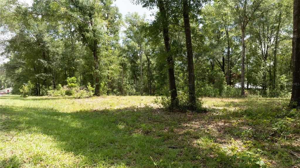 A grassy, partially cleared lot is surrounded by a dense forest of mature trees — 000 NE 155TH COURT, WILLISTON, FL