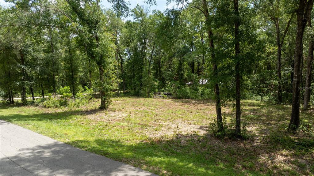 A vacant, partially cleared lot with trees borders a paved road — 000 NE 155TH COURT, WILLISTON, FL