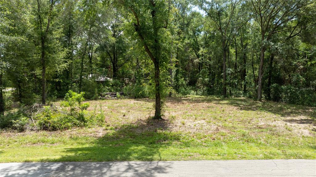 A vacant, partially cleared lot is surrounded by dense trees and borders a paved road — 000 NE 155TH COURT, WILLISTON, FL