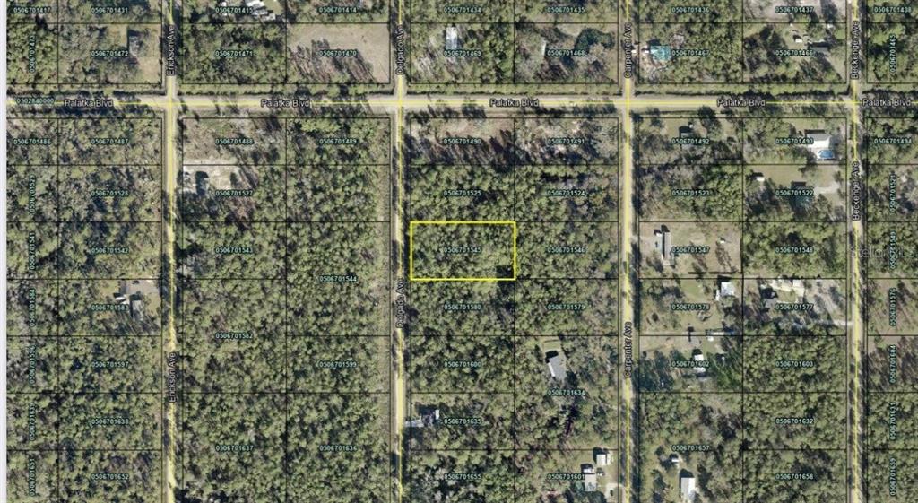 This is an aerial map showing a highlighted rectangular plot of land in a wooded area — 10620 DELGADO AVENUE, HASTINGS, FL