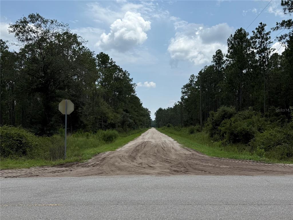 A dirt road extends into a wooded area from a paved road — 10620 DELGADO AVENUE, HASTINGS, FL